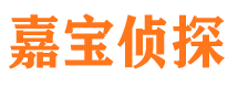 阜阳侦探公司